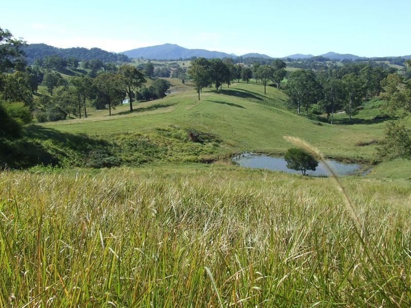 Lot 3 Lower Buckra, Buckra Bendinni NSW 2449