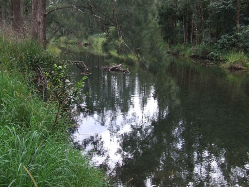 222 Dairyville Road, Upper Orara NSW 2450