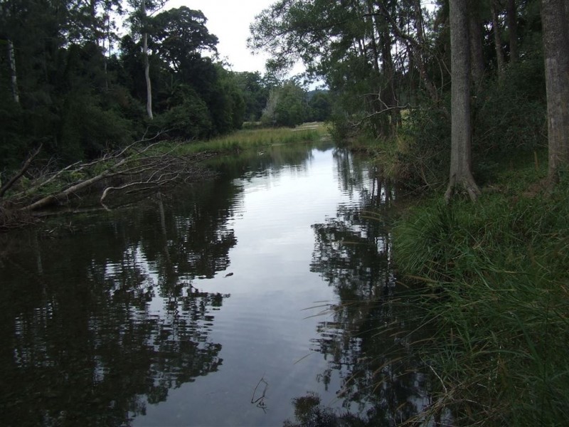 222 Dairyville Road, Upper Orara NSW 2450