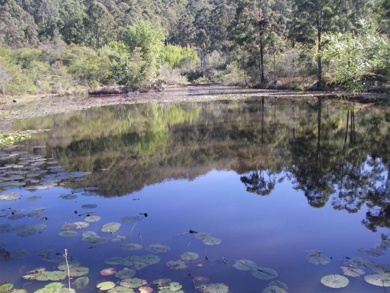 1058 Firth Heinz road, Pillar Valley NSW 2462