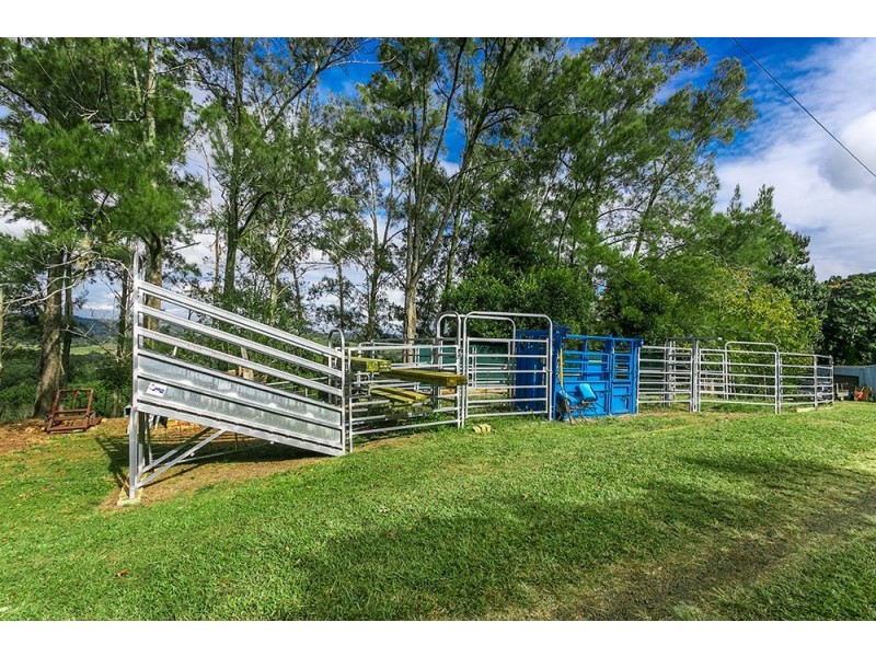 31 Fairview Road, Rosebank NSW 2480