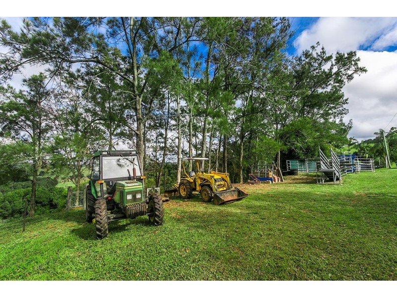 31 Fairview Road, Rosebank NSW 2480