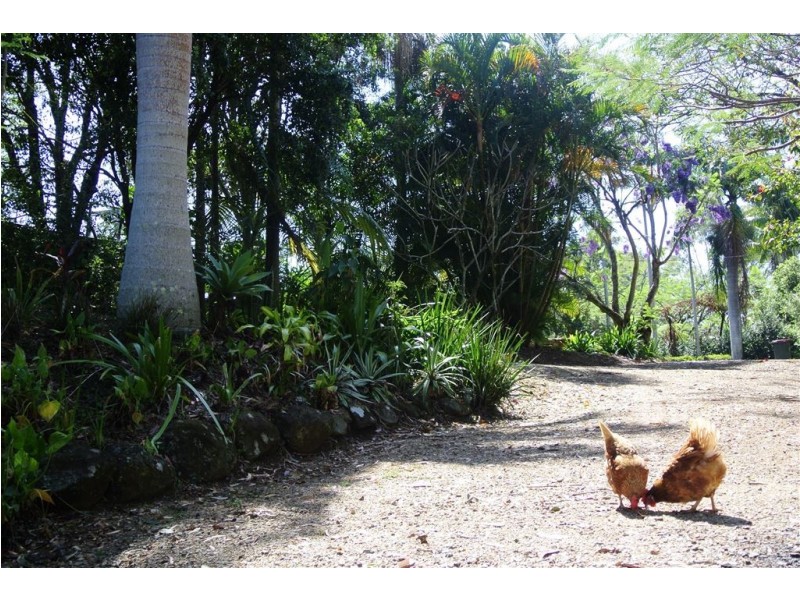 14a Valley Court, Ewingsdale NSW 2481