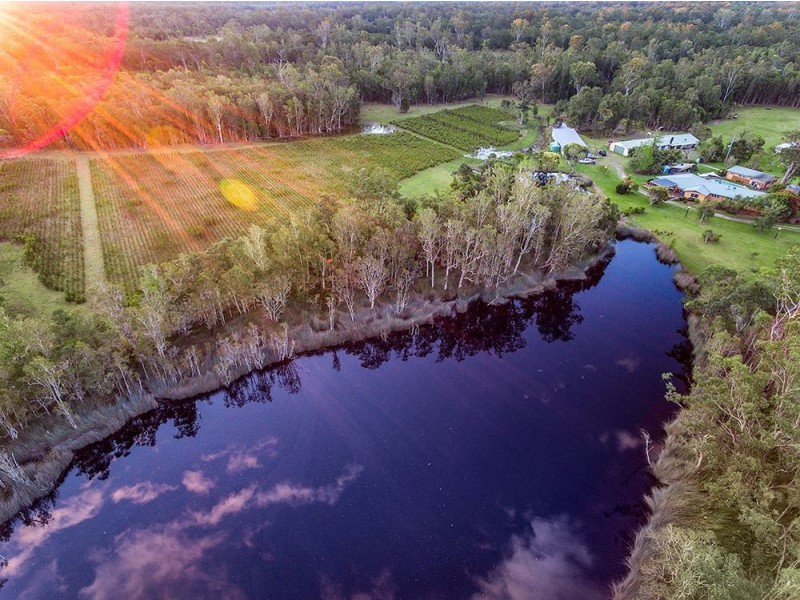 1630 Whiporie Road, Bungawalbin NSW 2469