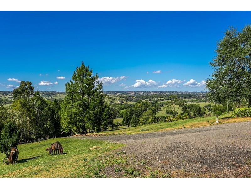 20 Federation Drive, Eltham NSW 2480