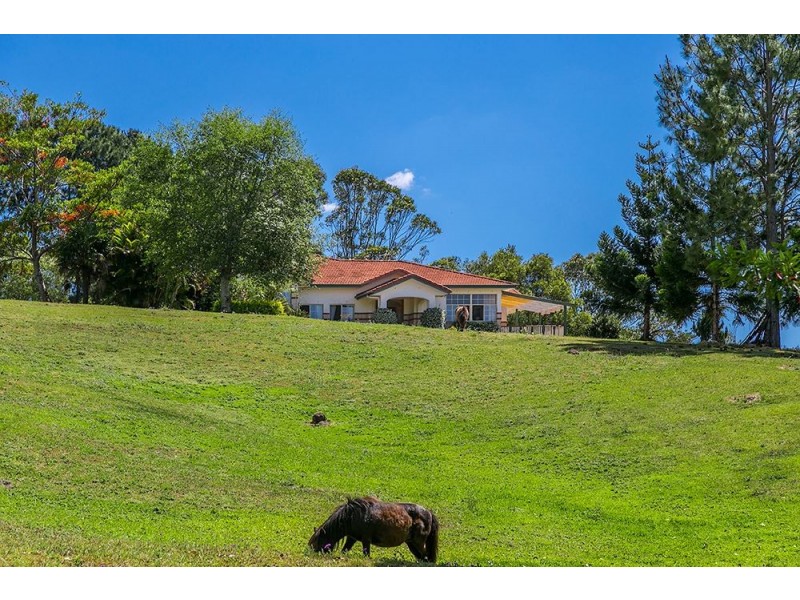 20 Federation Drive, Eltham NSW 2480