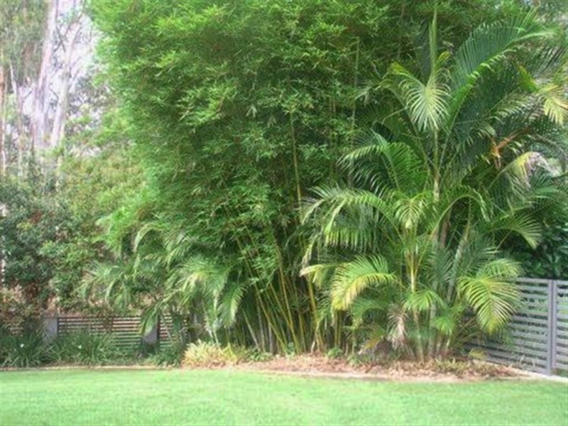 45 Octantis Street, Coorparoo QLD 4151