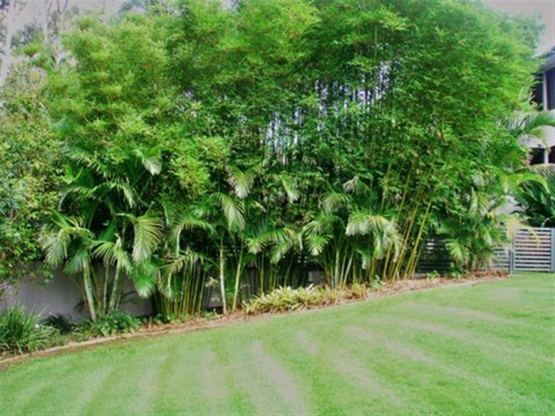 45 Octantis Street, Coorparoo QLD 4151