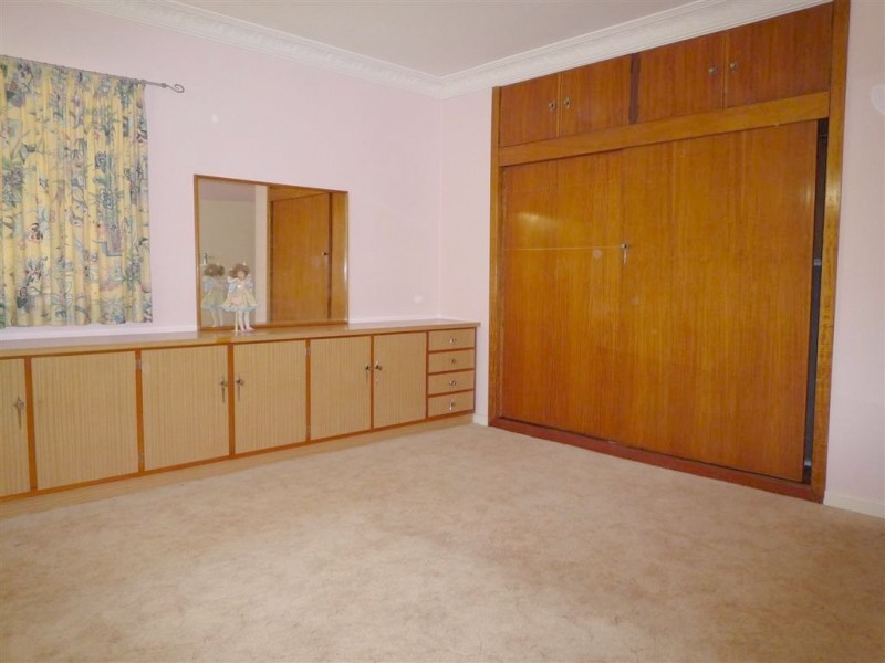 19 Blackwood Avenue, Cannon Hill QLD 4170