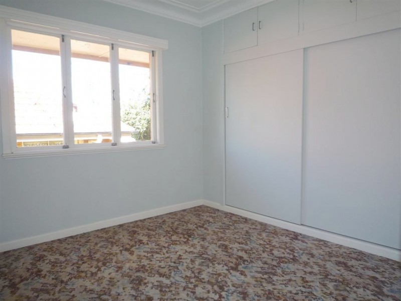 19 Blackwood Avenue, Cannon Hill QLD 4170