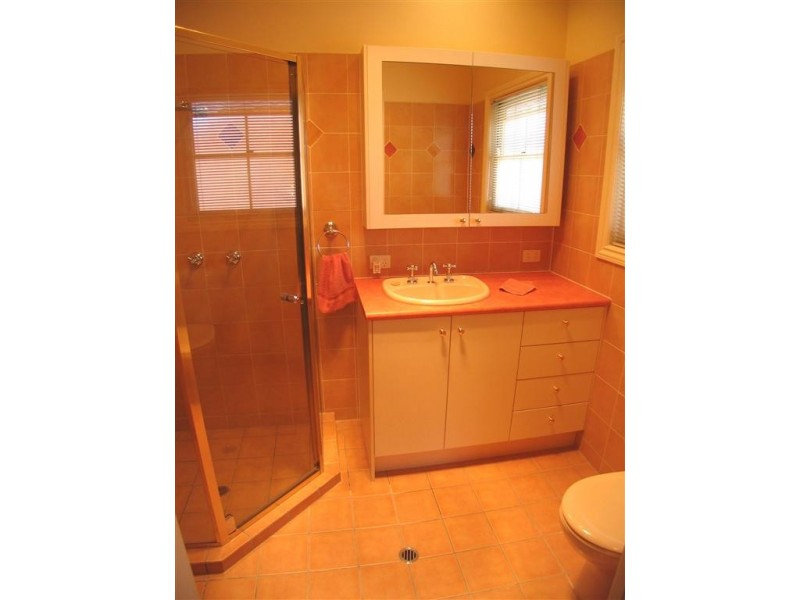 100 Sirius Street, Coorparoo QLD 4151