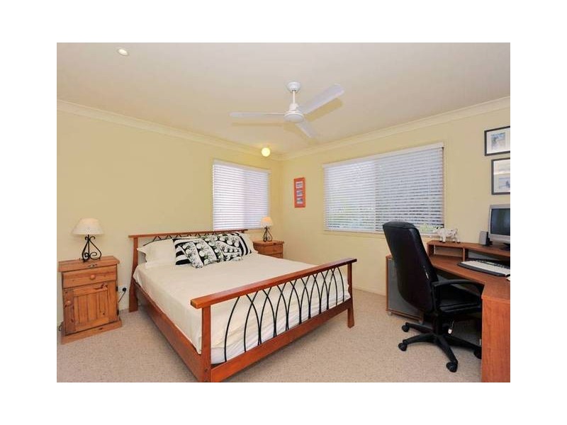 135 Coutts Street, Bulimba QLD 4171