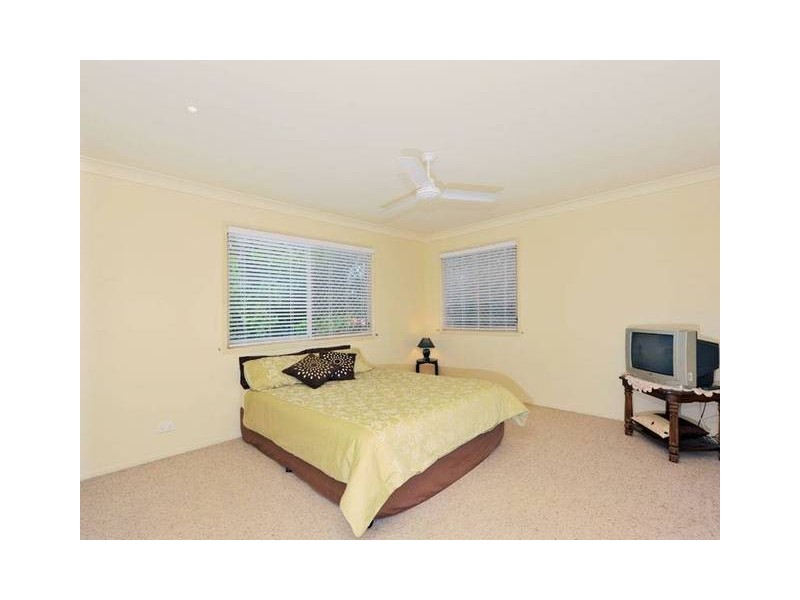 135 Coutts Street, Bulimba QLD 4171