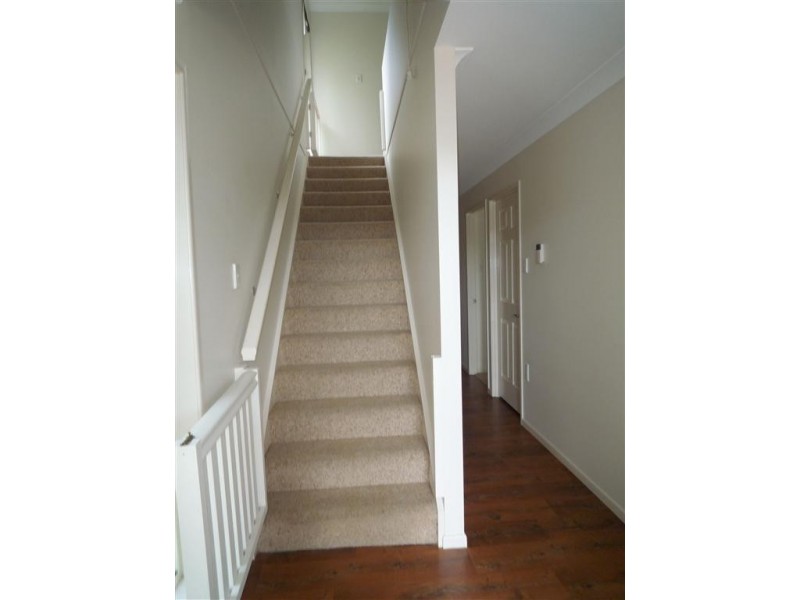 368 Richmond Road, Cannon Hill QLD 4170