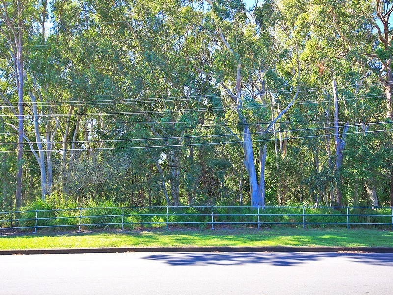 119 Empire Avenue, Manly West QLD 4179