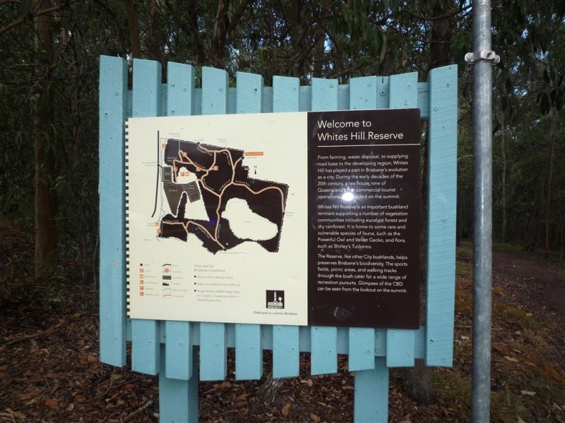 171 Jones Road, Carina Heights QLD 4152