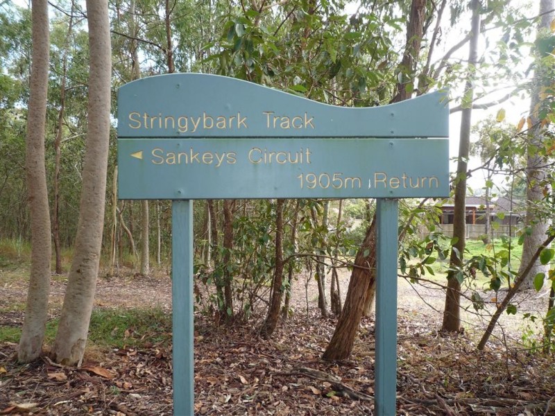 171 Jones Road, Carina Heights QLD 4152