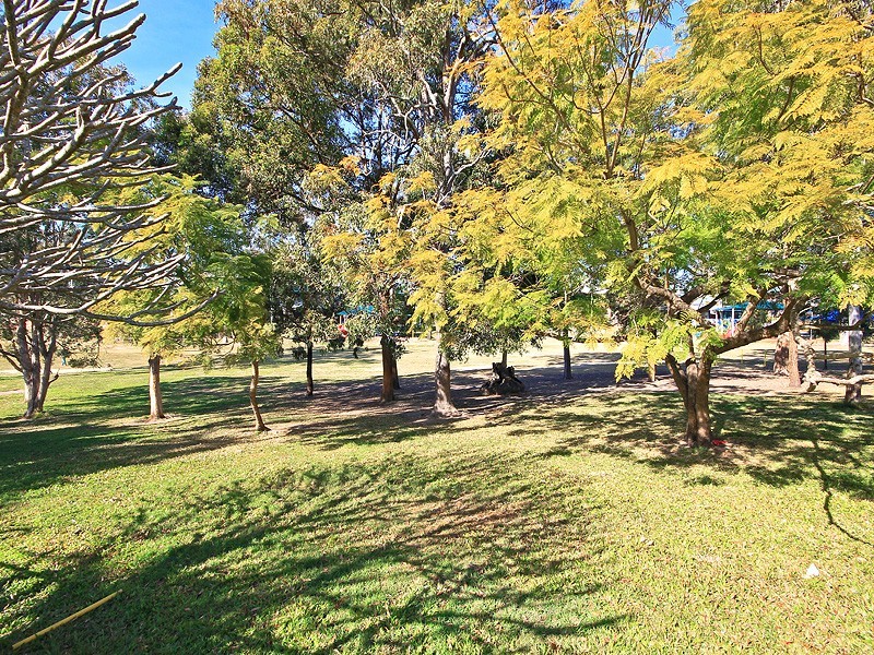 11 Risley Street, Carina QLD 4152