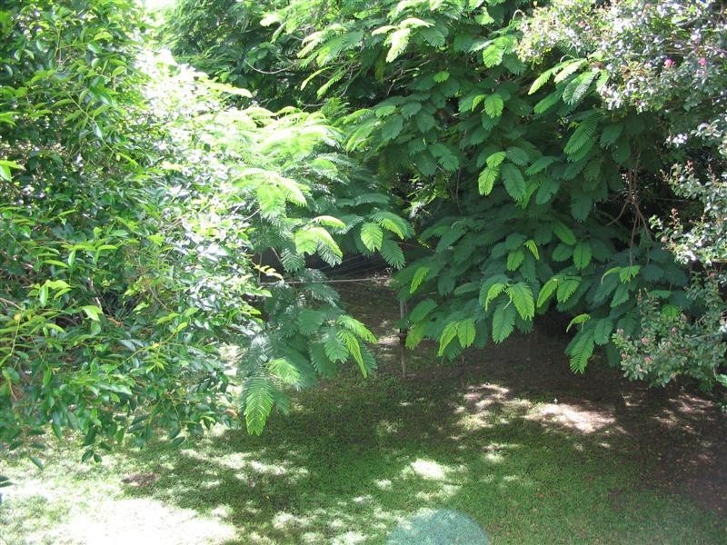 6 Ashton Street, Camp Hill QLD 4152