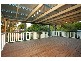 56 Muir Street, Cannon Hill QLD 4170