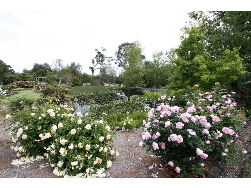 57 Gooch Road, Stratford VIC 3862