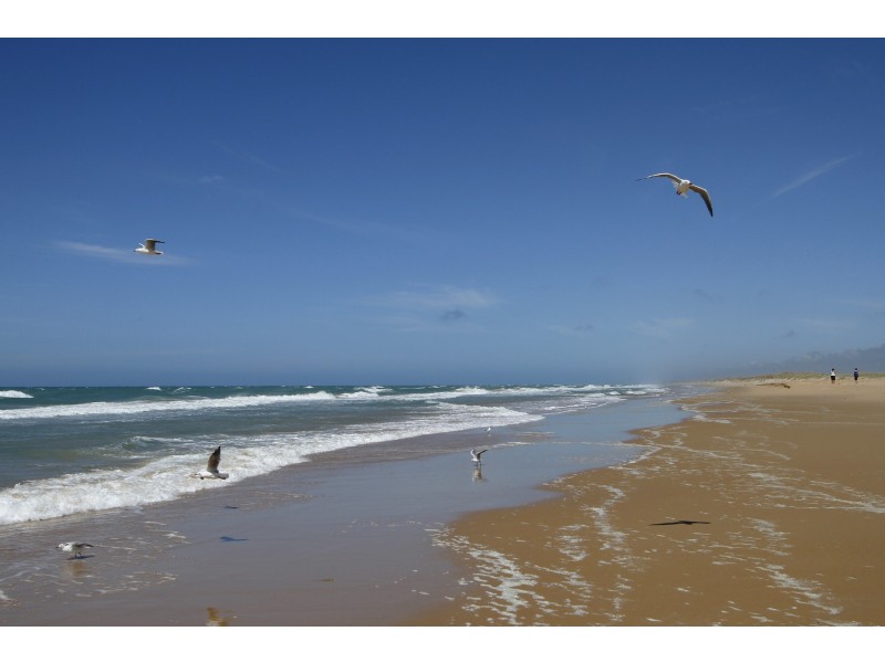 6 Celebes Court, The Honeysuckles VIC 3851