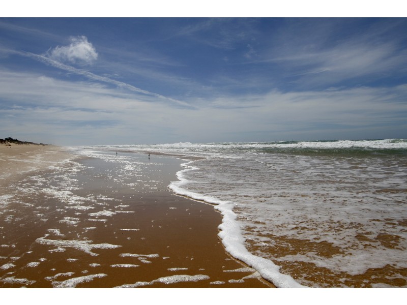 6 Celebes Court, The Honeysuckles VIC 3851