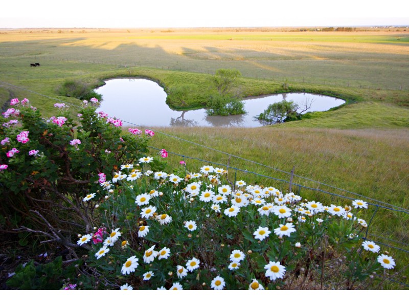 2349 Seaspray Road, Seaspray VIC 3851