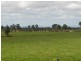 1763 Sale- Heyfield Road, Denison VIC 3858