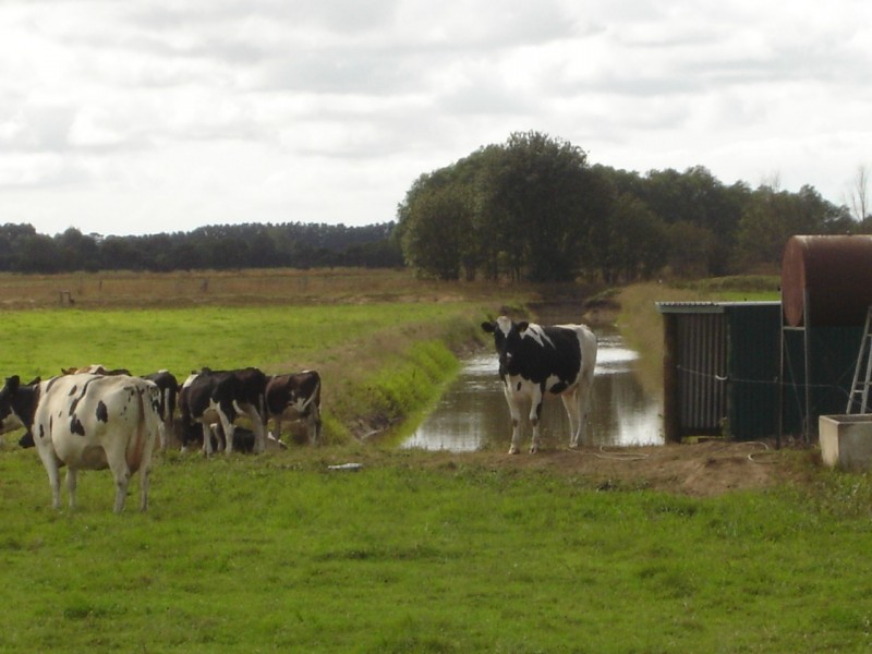 1763 Sale- Heyfield Road, Denison VIC 3858