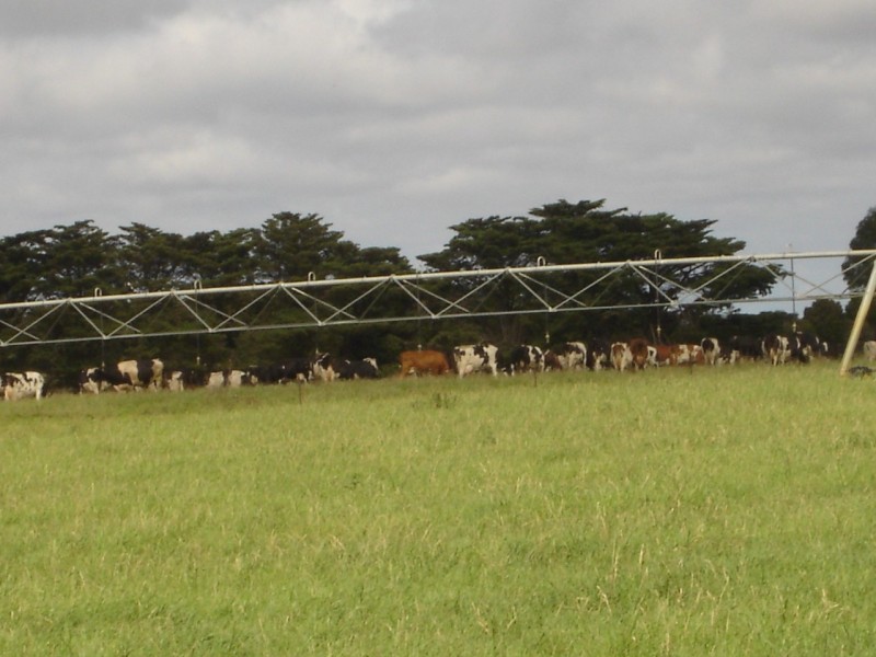 1763 Sale- Heyfield Road, Denison VIC 3858