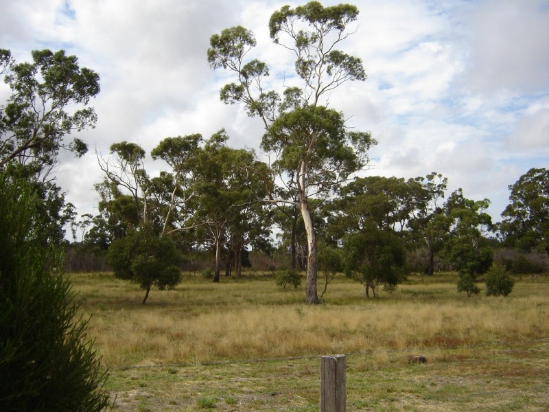 120 Cochranes Road, Seaspray VIC 3851