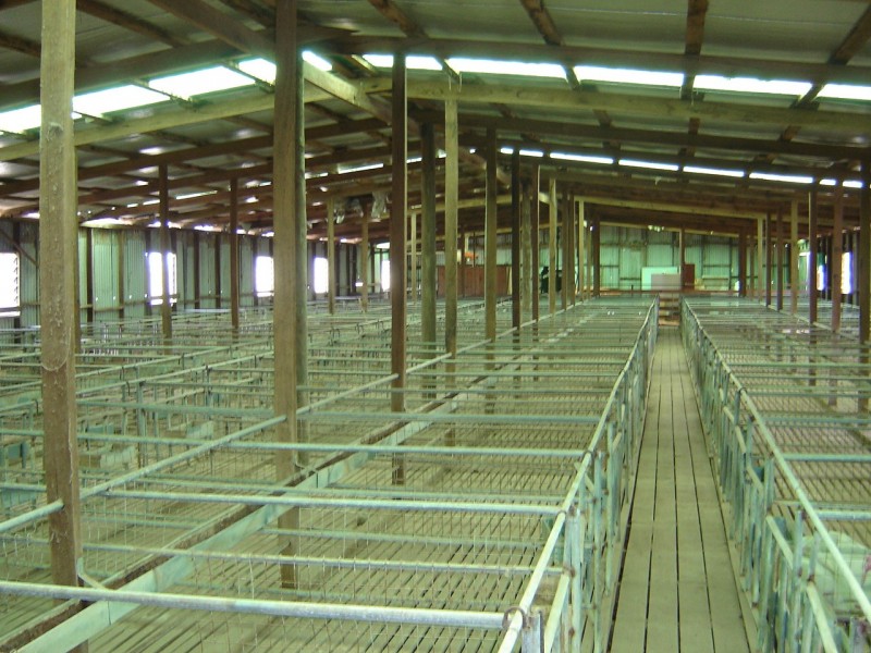 120 Cochranes Road, Seaspray VIC 3851