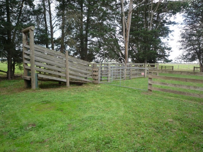 549 Nambrok Hall Road, Nambrok VIC 3847