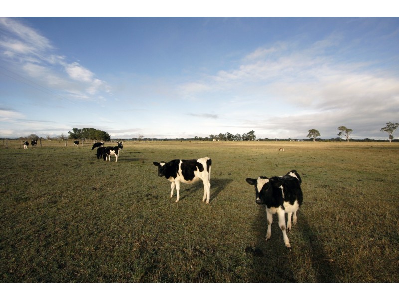 36 Pooleys Road, Sale VIC 3850