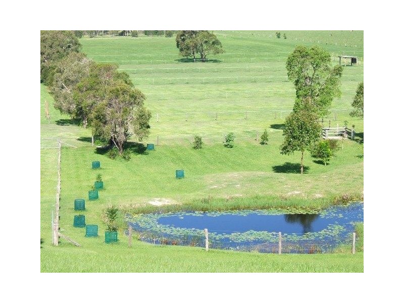 Round Mountain NSW 2484