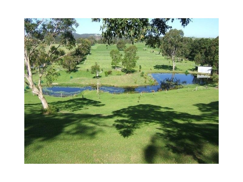 Round Mountain NSW 2484