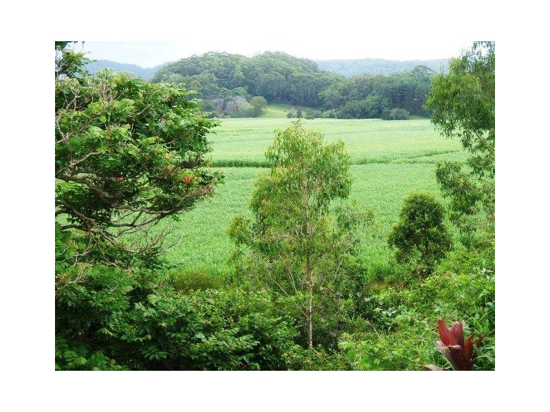 Crabbes Creek NSW 2483