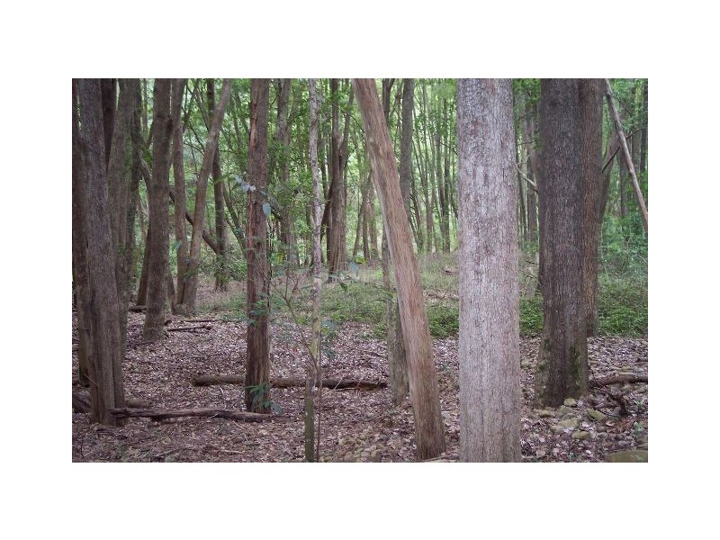 Crystal Creek NSW 2484