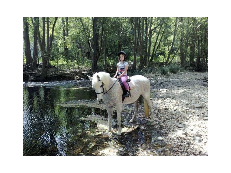 Crystal Creek NSW 2484