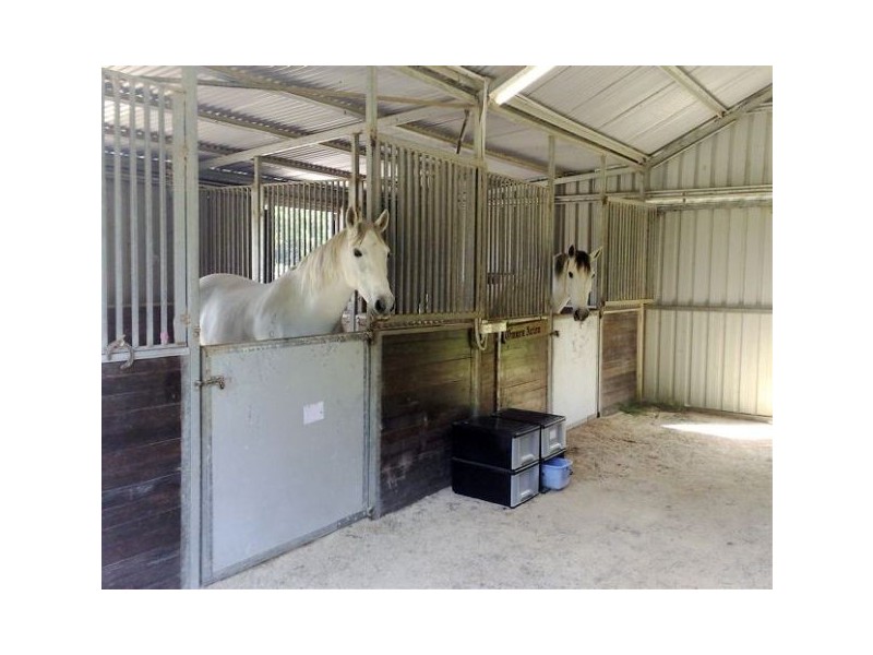 Crystal Creek NSW 2484