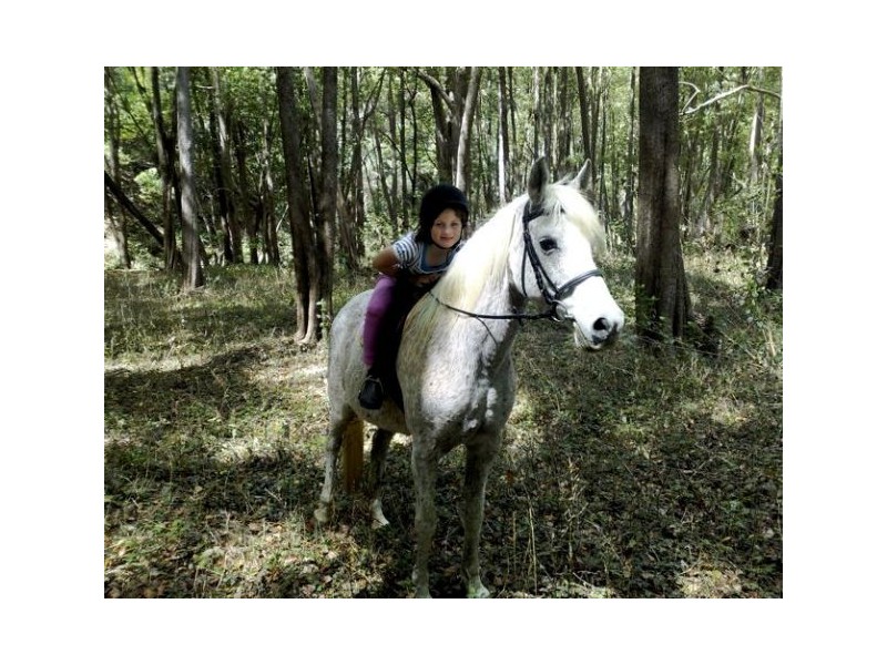 Crystal Creek NSW 2484