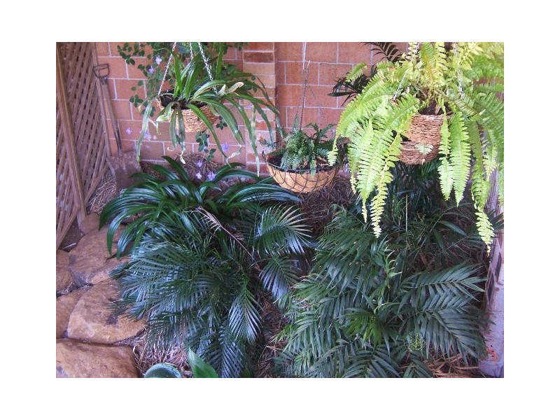 Terranora NSW 2486