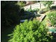 Terranora NSW 2486