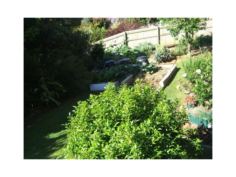 Terranora NSW 2486
