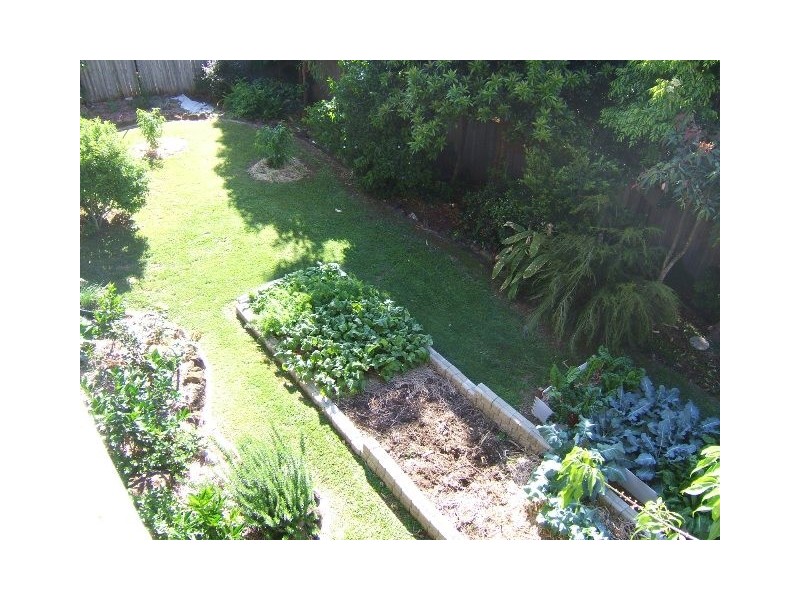 Terranora NSW 2486