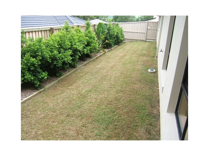 Banora Point NSW 2486