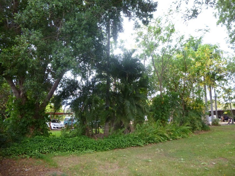 82 Weaber Plain Road, Kununurra WA 6743