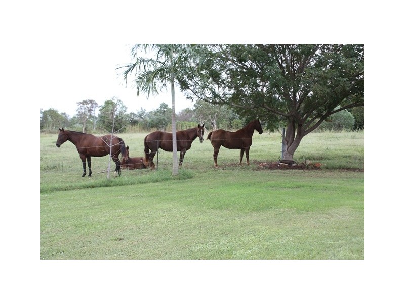 103 Weaber Plain Road, Kununurra WA 6743