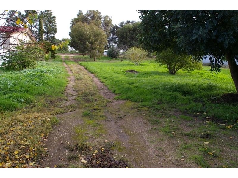 19 Bowman Terrace, Maitland SA 5573